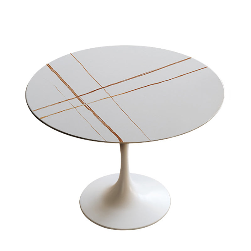 Round Top Dining Table Contemporary Table with Pedestal Base Clearhalo 'Dining Tables & Seating' 'Dining Tables' 'dining_table' 'Furniture' 'furniture_dining_table' 'Kitchen & Dining Furniture' 5043189