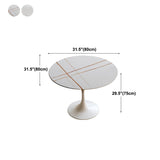 Round Top Dining Table Contemporary Table with Pedestal Base Clearhalo 'Dining Tables & Seating' 'Dining Tables' 'dining_table' 'Furniture' 'furniture_dining_table' 'Kitchen & Dining Furniture' 5043200