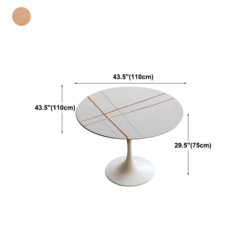 Round Top Dining Table Contemporary Table with Pedestal Base Clearhalo 'Dining Tables & Seating' 'Dining Tables' 'dining_table' 'Furniture' 'furniture_dining_table' 'Kitchen & Dining Furniture' 5043203