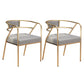 Glam Style Dining Chair Open Back Indoor Side Chair (Set of 2) Light Gray 2 Piece Set Brass Gold Clearhalo 'Dining Chairs' 'Dining Tables & Seating' 'dining_chair' 'furn' 'furn_dining_chair' 'Furniture' 'furniture_dining_chair' 'Kitchen & Dining Furniture' 5044021