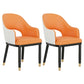 Modern Style Arm Chair Leather Open Back Indoor Dining Chair White-Saffron 2 Piece Set Clearhalo 'Dining Chairs' 'Dining Tables & Seating' 'dining_chair' 'furn' 'furn_dining_chair' 'Furniture' 'furniture_dining_chair' 'Kitchen & Dining Furniture' 5044225