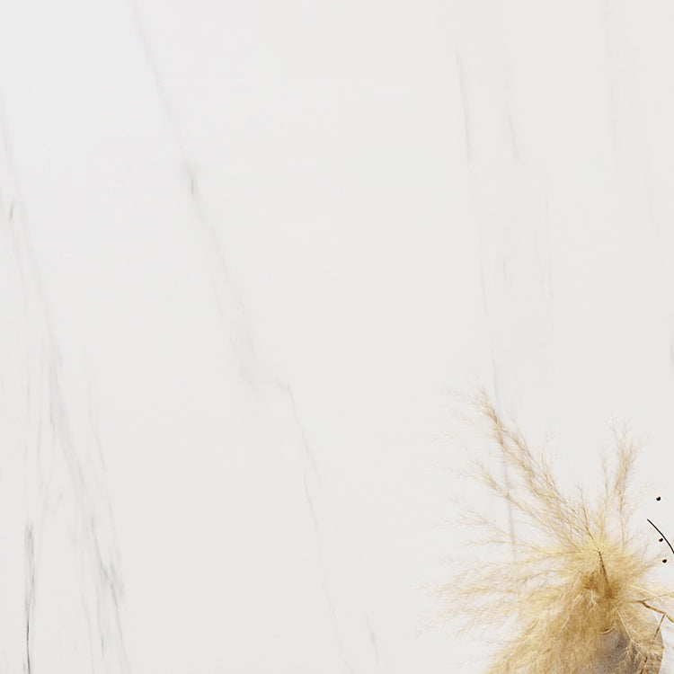 Modern Stainless Steel Dinette Set 1/2/5/7 Pieces Sintered Stone Top Dining Table Set Clearhalo 'Dining Room Sets' 'Dining Tables & Seating' 'dining_room_set' 'furn' 'furn_dining_room_set' 'Furniture' 'furniture_dining_room_set' 'Kitchen & Dining Furniture' 5044514