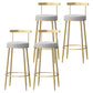 Glam Style Backrest Counter Stool Iron Cafe Bar Stool with Velvet Cushion and Pedal Gray 4 Piece Set Clearhalo 'Bar Furniture' 'Bar Stools' 'bar_stools' 'furn' 'furn_bar_stools' 'Furniture' 'furniture_bar_stools' 'Kitchen & Dining Furniture' 5044650