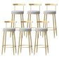 Glam Style Backrest Counter Stool Iron Cafe Bar Stool with Velvet Cushion and Pedal Gray 6 Piece Set Clearhalo 'Bar Furniture' 'Bar Stools' 'bar_stools' 'furn' 'furn_bar_stools' 'Furniture' 'furniture_bar_stools' 'Kitchen & Dining Furniture' 5044652