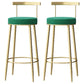 Glam Style Backrest Counter Stool Iron Cafe Bar Stool with Velvet Cushion and Pedal Green 2 Piece Set Clearhalo 'Bar Furniture' 'Bar Stools' 'bar_stools' 'furn' 'furn_bar_stools' 'Furniture' 'furniture_bar_stools' 'Kitchen & Dining Furniture' 5044657