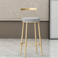 Glam Style Backrest Counter Stool Iron Cafe Bar Stool with Velvet Cushion and Pedal Clearhalo 'Bar Furniture' 'Bar Stools' 'bar_stools' 'furn' 'furn_bar_stools' 'Furniture' 'furniture_bar_stools' 'Kitchen & Dining Furniture' 5044661