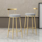 Glam Style Backrest Counter Stool Iron Cafe Bar Stool with Velvet Cushion and Pedal Clearhalo 'Bar Furniture' 'Bar Stools' 'bar_stools' 'furn' 'furn_bar_stools' 'Furniture' 'furniture_bar_stools' 'Kitchen & Dining Furniture' 5044663