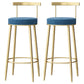 Glam Style Backrest Counter Stool Iron Cafe Bar Stool with Velvet Cushion and Pedal Blue 2 Piece Set Clearhalo 'Bar Furniture' 'Bar Stools' 'bar_stools' 'furn' 'furn_bar_stools' 'Furniture' 'furniture_bar_stools' 'Kitchen & Dining Furniture' 5044664