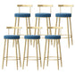 Glam Style Backrest Counter Stool Iron Cafe Bar Stool with Velvet Cushion and Pedal Blue 6 Piece Set Clearhalo 'Bar Furniture' 'Bar Stools' 'bar_stools' 'furn' 'furn_bar_stools' 'Furniture' 'furniture_bar_stools' 'Kitchen & Dining Furniture' 5044666