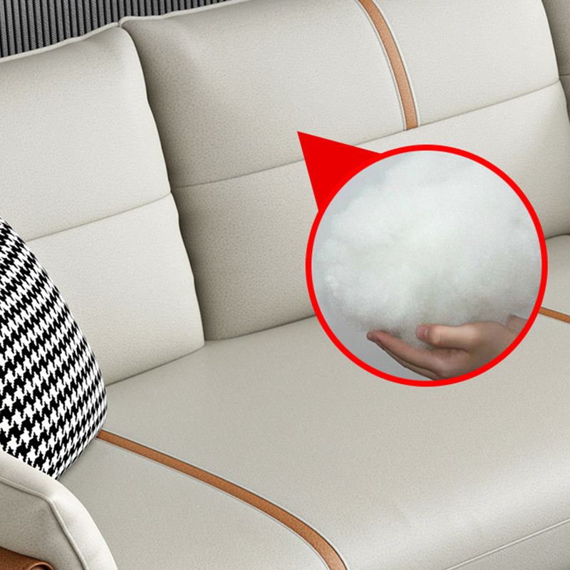 Glam Cushions Pillow Top Arm Stain Resistant Settee for Living Room Clearhalo 'furn' 'furn_sofas' 'Furniture' 'furniture_sofas' 'Living Room Furniture' 'Sofa' 'sofas' 5045603