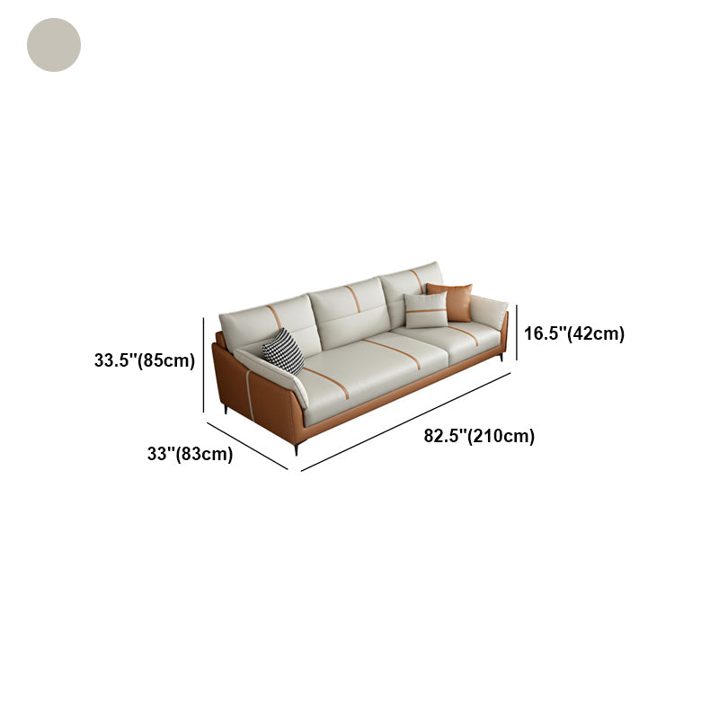 Glam Cushions Pillow Top Arm Stain Resistant Settee for Living Room Clearhalo 'furn' 'furn_sofas' 'Furniture' 'furniture_sofas' 'Living Room Furniture' 'Sofa' 'sofas' 5045606