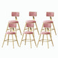 Nordic Style Backrest Counter Stool Iron Cafe Bar Stool with Velvet Cushion and Pedal Pink 6 Piece Set Short Stool(18"H) Clearhalo 'Bar Furniture' 'Bar Stools' 'bar_stools' 'furn' 'furn_bar_stools' 'Furniture' 'furniture_bar_stools' 'Kitchen & Dining Furniture' 5052046