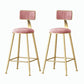 Nordic Style Backrest Counter Stool Iron Cafe Bar Stool with Velvet Cushion and Pedal Pink 2 Piece Set Counter Stool(26"H) Clearhalo 'Bar Furniture' 'Bar Stools' 'bar_stools' 'furn' 'furn_bar_stools' 'Furniture' 'furniture_bar_stools' 'Kitchen & Dining Furniture' 5052051