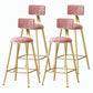 Nordic Style Backrest Counter Stool Iron Cafe Bar Stool with Velvet Cushion and Pedal Pink 4 Piece Set Counter Stool(26"H) Clearhalo 'Bar Furniture' 'Bar Stools' 'bar_stools' 'furn' 'furn_bar_stools' 'Furniture' 'furniture_bar_stools' 'Kitchen & Dining Furniture' 5052053