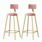 Nordic Style Backrest Counter Stool Iron Cafe Bar Stool with Velvet Cushion and Pedal Pink 2 Piece Set Bar Stool(30"H) Clearhalo 'Bar Furniture' 'Bar Stools' 'bar_stools' 'furn' 'furn_bar_stools' 'Furniture' 'furniture_bar_stools' 'Kitchen & Dining Furniture' 5052058
