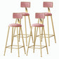 Nordic Style Backrest Counter Stool Iron Cafe Bar Stool with Velvet Cushion and Pedal Pink 4 Piece Set Bar Stool(30"H) Clearhalo 'Bar Furniture' 'Bar Stools' 'bar_stools' 'furn' 'furn_bar_stools' 'Furniture' 'furniture_bar_stools' 'Kitchen & Dining Furniture' 5052060