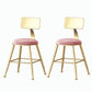 Nordic Style Backrest Counter Stool Iron Cafe Bar Stool with Velvet Cushion and Pedal Light Pink 2 Piece Set Short Stool(18"H) Clearhalo 'Bar Furniture' 'Bar Stools' 'bar_stools' 'furn' 'furn_bar_stools' 'Furniture' 'furniture_bar_stools' 'Kitchen & Dining Furniture' 5052067