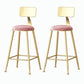 Nordic Style Backrest Counter Stool Iron Cafe Bar Stool with Velvet Cushion and Pedal Light Pink 2 Piece Set Counter Stool(26"H) Clearhalo 'Bar Furniture' 'Bar Stools' 'bar_stools' 'furn' 'furn_bar_stools' 'Furniture' 'furniture_bar_stools' 'Kitchen & Dining Furniture' 5052073