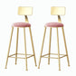 Nordic Style Backrest Counter Stool Iron Cafe Bar Stool with Velvet Cushion and Pedal Light Pink 2 Piece Set Bar Stool(30"H) Clearhalo 'Bar Furniture' 'Bar Stools' 'bar_stools' 'furn' 'furn_bar_stools' 'Furniture' 'furniture_bar_stools' 'Kitchen & Dining Furniture' 5052077