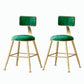 Nordic Style Backrest Counter Stool Iron Cafe Bar Stool with Velvet Cushion and Pedal Blackish Green 2 Piece Set Short Stool(18"H) Clearhalo 'Bar Furniture' 'Bar Stools' 'bar_stools' 'furn' 'furn_bar_stools' 'Furniture' 'furniture_bar_stools' 'Kitchen & Dining Furniture' 5052081