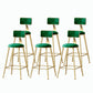 Nordic Style Backrest Counter Stool Iron Cafe Bar Stool with Velvet Cushion and Pedal Blackish Green 6 Piece Set Counter Stool(26"H) Clearhalo 'Bar Furniture' 'Bar Stools' 'bar_stools' 'furn' 'furn_bar_stools' 'Furniture' 'furniture_bar_stools' 'Kitchen & Dining Furniture' 5052087
