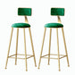 Nordic Style Backrest Counter Stool Iron Cafe Bar Stool with Velvet Cushion and Pedal Blackish Green 2 Piece Set Bar Stool(30"H) Clearhalo 'Bar Furniture' 'Bar Stools' 'bar_stools' 'furn' 'furn_bar_stools' 'Furniture' 'furniture_bar_stools' 'Kitchen & Dining Furniture' 5052089