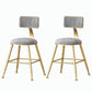 Nordic Style Backrest Counter Stool Iron Cafe Bar Stool with Velvet Cushion and Pedal Grey 2 Piece Set Short Stool(18"H) Clearhalo 'Bar Furniture' 'Bar Stools' 'bar_stools' 'furn' 'furn_bar_stools' 'Furniture' 'furniture_bar_stools' 'Kitchen & Dining Furniture' 5052093