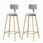 Nordic Style Backrest Counter Stool Iron Cafe Bar Stool with Velvet Cushion and Pedal Grey 2 Piece Set Bar Stool(30"H) Clearhalo 'Bar Furniture' 'Bar Stools' 'bar_stools' 'furn' 'furn_bar_stools' 'Furniture' 'furniture_bar_stools' 'Kitchen & Dining Furniture' 5052101