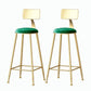 Nordic Style Backrest Counter Stool Iron Cafe Bar Stool with Velvet Cushion and Pedal Green 2 Piece Set Bar Stool(30"H) Clearhalo 'Bar Furniture' 'Bar Stools' 'bar_stools' 'furn' 'furn_bar_stools' 'Furniture' 'furniture_bar_stools' 'Kitchen & Dining Furniture' 5052124