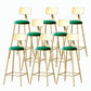 Nordic Style Backrest Counter Stool Iron Cafe Bar Stool with Velvet Cushion and Pedal Green 8 Piece Set Bar Stool(30"H) Clearhalo 'Bar Furniture' 'Bar Stools' 'bar_stools' 'furn' 'furn_bar_stools' 'Furniture' 'furniture_bar_stools' 'Kitchen & Dining Furniture' 5052127
