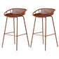 Modern Dessert Shop Low Back Stool Matte Finish Iron Bar Stool Brown 2 Piece Set Clearhalo 'Bar Furniture' 'Bar Stools' 'bar_stools' 'furn' 'furn_bar_stools' 'Furniture' 'furniture_bar_stools' 'Kitchen & Dining Furniture' 5052175