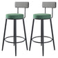 Modern Backrest Armless Counter Stool Iron Kitchen Bar Stool with Velvet Cushion Blackish Green 2 Piece Set Clearhalo 'Bar Furniture' 'Bar Stools' 'bar_stools' 'furn' 'furn_bar_stools' 'Furniture' 'furniture_bar_stools' 'Kitchen & Dining Furniture' 5052584