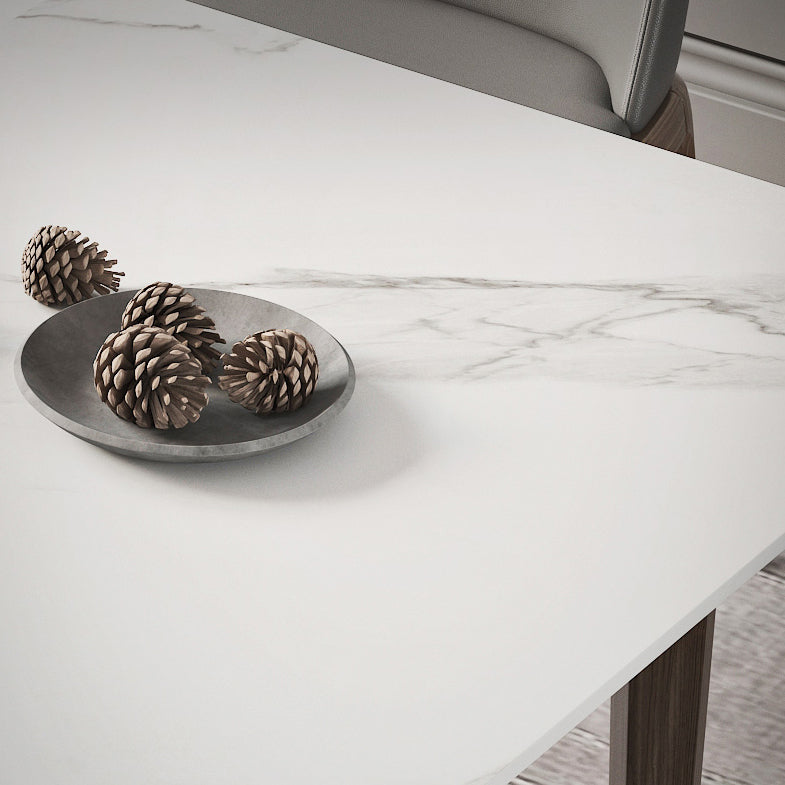 Extendable Sintered Stone Top Dining Set Rectangle 1/4/5/7 Pieces Dining Room Table Set Clearhalo 'Dining Room Sets' 'Dining Tables & Seating' 'dining_room_set' 'furn' 'furn_dining_room_set' 'Furniture' 'furniture_dining_room_set' 'Kitchen & Dining Furniture' 5052800