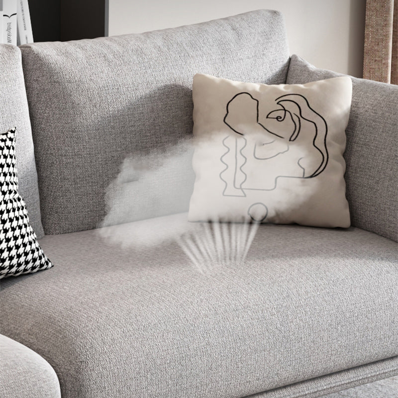 Slipcovered Stationary Pillow Top Arm Cushions Sofa for Living Room Clearhalo 'furn' 'furn_sofas' 'Furniture' 'furniture_sofas' 'Living Room Furniture' 'Sofa' 'sofas' 5057791