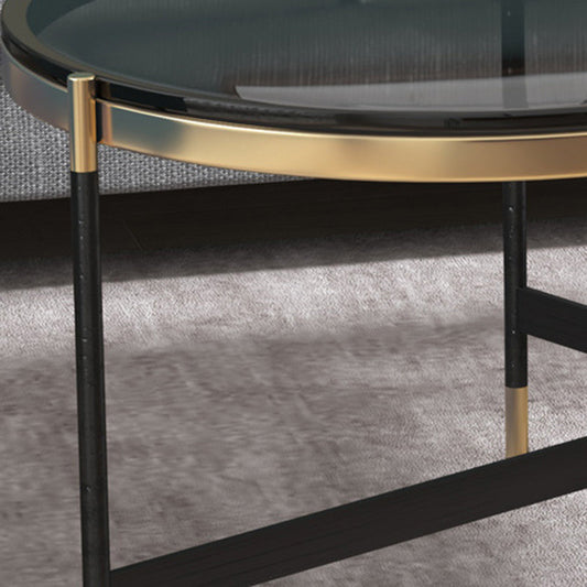 17.7" Tall Modern Metal Cross Leg Base Glass Oval Coffee Table with Shelf Clearhalo 'Coffee & Accent Tables' 'Coffee Tables' 'coffee_tables' 'furn' 'furn_coffee_tables' 'Furniture' 'furniture_coffee_tables' 'Living Room Furniture' 5058568