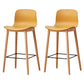 Modern Style Plastic Bar-stool Wooden Counter Bar Stool for Home Ginger 2 Piece Set Counter Stool(26"H) Clearhalo 'Bar Furniture' 'Bar Stools' 'bar_stools' 'furn' 'furn_bar_stools' 'Furniture' 'furniture_bar_stools' 'Kitchen & Dining Furniture' 5061542