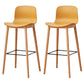 Modern Style Plastic Bar-stool Wooden Counter Bar Stool for Home Ginger 2 Piece Set Bar Stool(30"H) Clearhalo 'Bar Furniture' 'Bar Stools' 'bar_stools' 'furn' 'furn_bar_stools' 'Furniture' 'furniture_bar_stools' 'Kitchen & Dining Furniture' 5061546