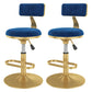 Glam Rotatable Backrest Counter Stool Steel Kitchen Bar Stool with Cushion and Pedal Blue 2 Piece Set Short Stool(18"H) Clearhalo 'Bar Furniture' 'Bar Stools' 'bar_stools' 'furn' 'furn_bar_stools' 'Furniture' 'furniture_bar_stools' 'Kitchen & Dining Furniture' 5061577