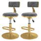 Glam Rotatable Backrest Counter Stool Steel Kitchen Bar Stool with Cushion and Pedal Grey 2 Piece Set Short Stool(18"H) Clearhalo 'Bar Furniture' 'Bar Stools' 'bar_stools' 'furn' 'furn_bar_stools' 'Furniture' 'furniture_bar_stools' 'Kitchen & Dining Furniture' 5061614