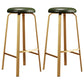 Nordic Armless Backless Counter Stool Iron Cafe Bar Stool with Cushion and Pedal Green 2 Piece Set Clearhalo 'Bar Furniture' 'Bar Stools' 'bar_stools' 'furn' 'furn_bar_stools' 'Furniture' 'furniture_bar_stools' 'Kitchen & Dining Furniture' 5061959