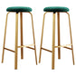 Nordic Armless Backless Counter Stool Iron Cafe Bar Stool with Cushion and Pedal Blackish Green 2 Piece Set Clearhalo 'Bar Furniture' 'Bar Stools' 'bar_stools' 'furn' 'furn_bar_stools' 'Furniture' 'furniture_bar_stools' 'Kitchen & Dining Furniture' 5061971