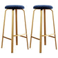 Nordic Armless Backless Counter Stool Iron Cafe Bar Stool with Cushion and Pedal Blue 2 Piece Set Clearhalo 'Bar Furniture' 'Bar Stools' 'bar_stools' 'furn' 'furn_bar_stools' 'Furniture' 'furniture_bar_stools' 'Kitchen & Dining Furniture' 5061979