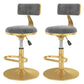 Glam Liftable Backrest Counter Stool Iron Cafe Bar Stool with Velvet Cushion and Pedal Light Gray 2 Piece Set Clearhalo 'Bar Furniture' 'Bar Stools' 'bar_stools' 'furn' 'furn_bar_stools' 'Furniture' 'furniture_bar_stools' 'Kitchen & Dining Furniture' 5062102