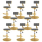 Glam Liftable Backrest Counter Stool Iron Cafe Bar Stool with Velvet Cushion and Pedal Light Gray 8 Piece Set Clearhalo 'Bar Furniture' 'Bar Stools' 'bar_stools' 'furn' 'furn_bar_stools' 'Furniture' 'furniture_bar_stools' 'Kitchen & Dining Furniture' 5062105