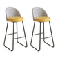 Leather Counter Stool Bucket Modern Footrest Counter & Bar Stool for Coffee Shop Yellow 2 Piece Set Clearhalo 'Bar Furniture' 'Bar Stools' 'bar_stools' 'furn' 'furn_bar_stools' 'Furniture' 'furniture_bar_stools' 'Kitchen & Dining Furniture' 5062248