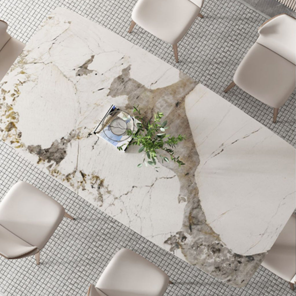 Luxury Sintered Stone Top Dining Set Rectangle 1/4/5/7 Pieces Dining Table Set Clearhalo 'Dining Room Sets' 'Dining Tables & Seating' 'dining_room_set' 'furn' 'furn_dining_room_set' 'Furniture' 'furniture_dining_room_set' 'Kitchen & Dining Furniture' 5062638