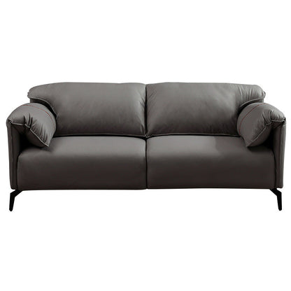 2-3 Seater 29.5"H Faux Leather Pillow Top Arm Sofa for Living Room Dark Gray Clearhalo 'furn' 'furn_sofas' 'Furniture' 'furniture_sofas' 'Living Room Furniture' 'Sofa' 'sofas' 5064841