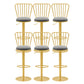 Glam Liftable Backrest Counter Stool Iron Cafe Bar Stool with Cushion and Pedal Grey 6 Piece Set Clearhalo 'Bar Furniture' 'Bar Stools' 'bar_stools' 'furn' 'furn_bar_stools' 'Furniture' 'furniture_bar_stools' 'Kitchen & Dining Furniture' 5080231