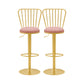 Glam Liftable Backrest Counter Stool Iron Cafe Bar Stool with Cushion and Pedal Pink 2 Piece Set Clearhalo 'Bar Furniture' 'Bar Stools' 'bar_stools' 'furn' 'furn_bar_stools' 'Furniture' 'furniture_bar_stools' 'Kitchen & Dining Furniture' 5080250