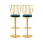 Glam Liftable Backrest Counter Stool Iron Cafe Bar Stool with Cushion and Pedal Blue 2 Piece Set Clearhalo 'Bar Furniture' 'Bar Stools' 'bar_stools' 'furn' 'furn_bar_stools' 'Furniture' 'furniture_bar_stools' 'Kitchen & Dining Furniture' 5080258